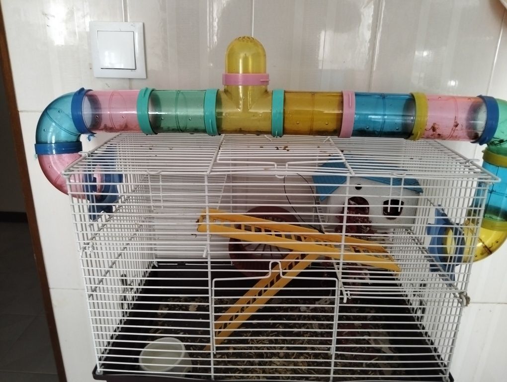 Gaiola para hamster