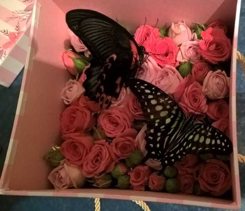 Цветы и бабочки - удивительный подарок!