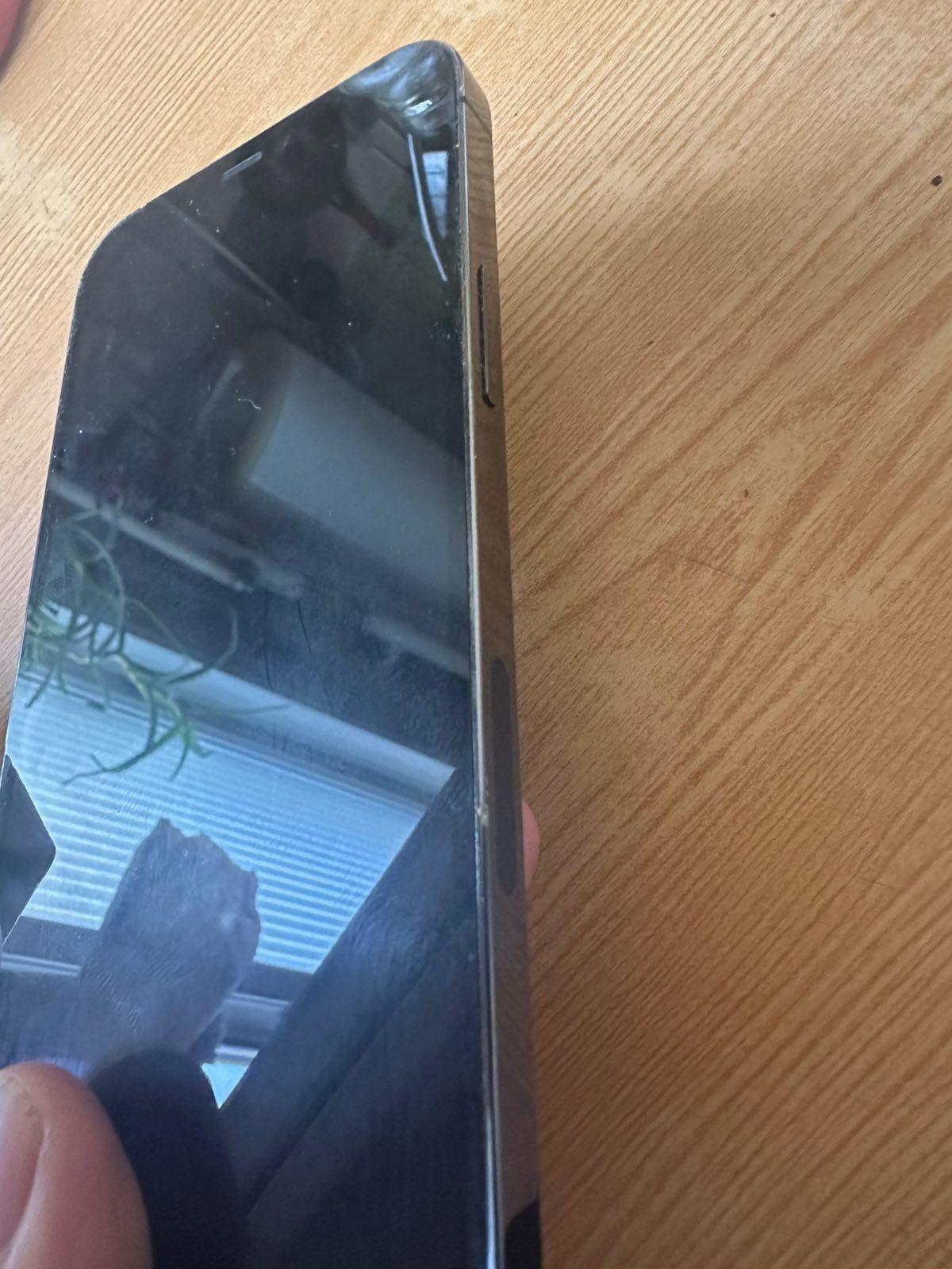 iPhone 12 Pro 256gb