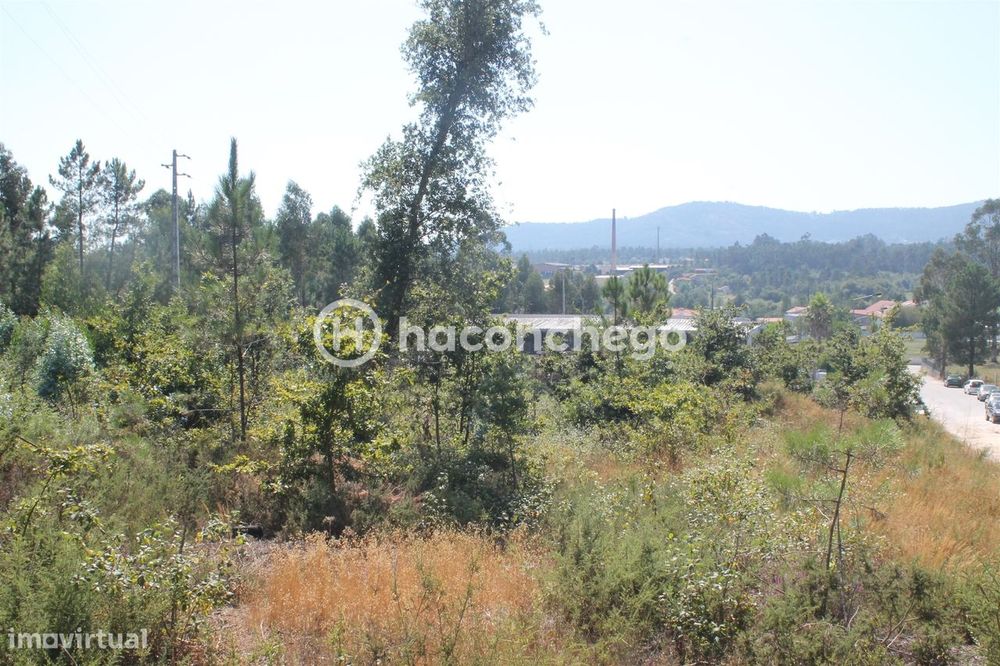 Terreno  Venda em Ucha,Barcelos