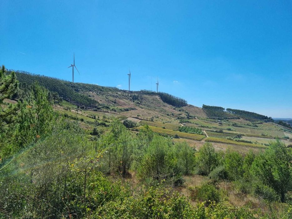 Terreno agricola e florestal - 3€/m2