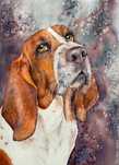 Akwarela 54/39 cm „Basset” piesek pies obraz prezent myśliwy