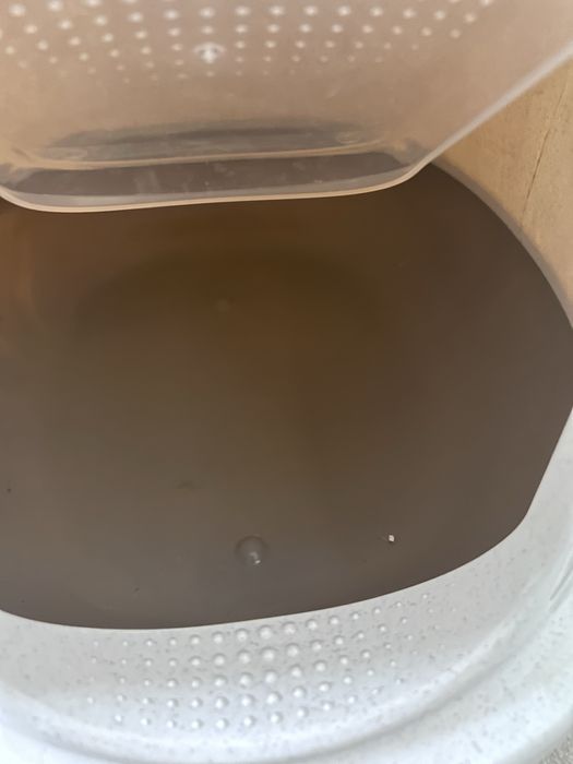 WC fechado para gatos