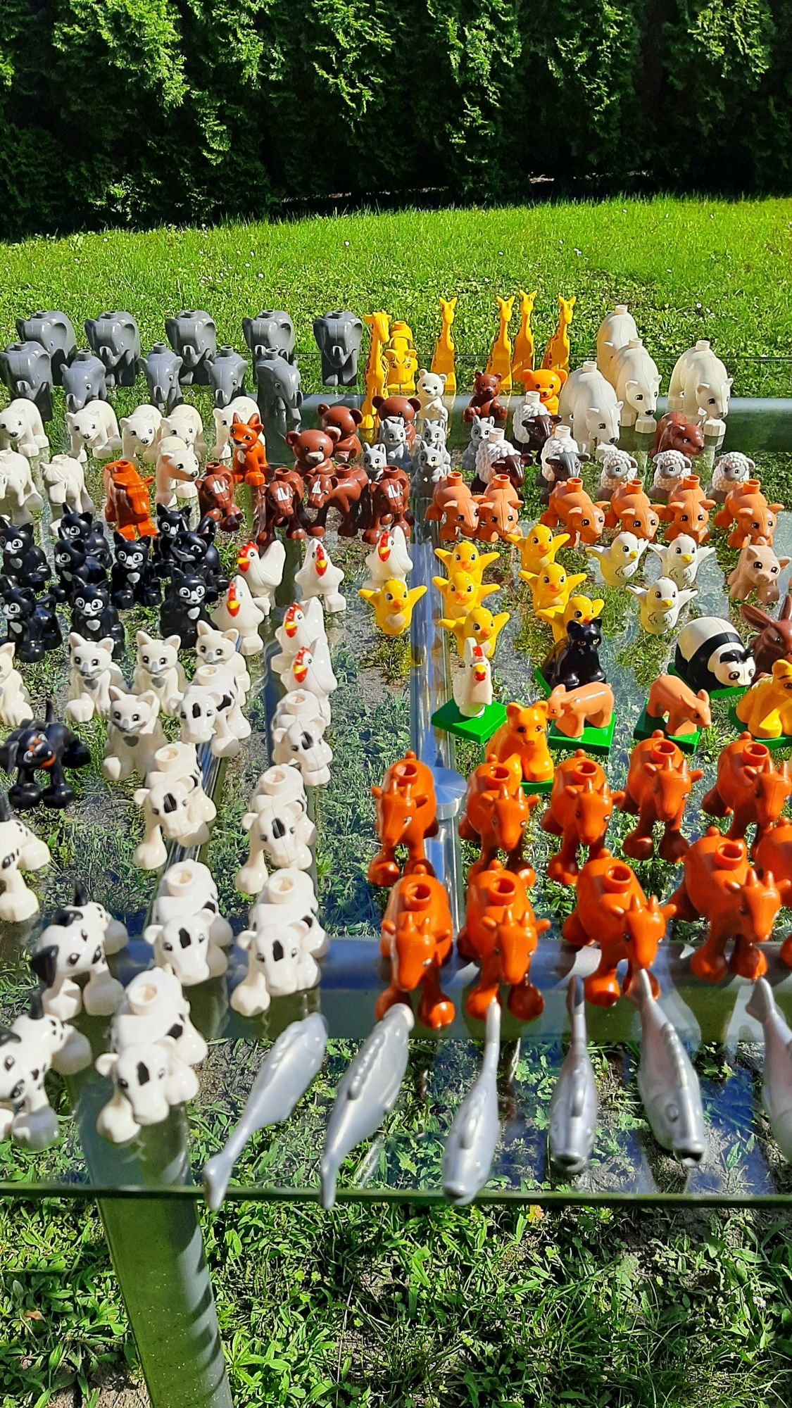 Ponad 200 zwierząt lego duplo