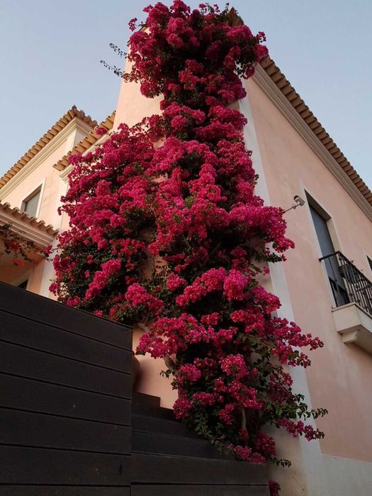 Excelente Moradia num lote de 1000m2