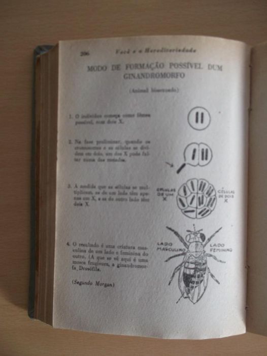 Você e a Hereditariedade do Amram Scheinfeld