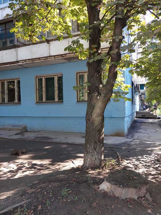 Аренда нежилого помещения ул. Чаривная, 159