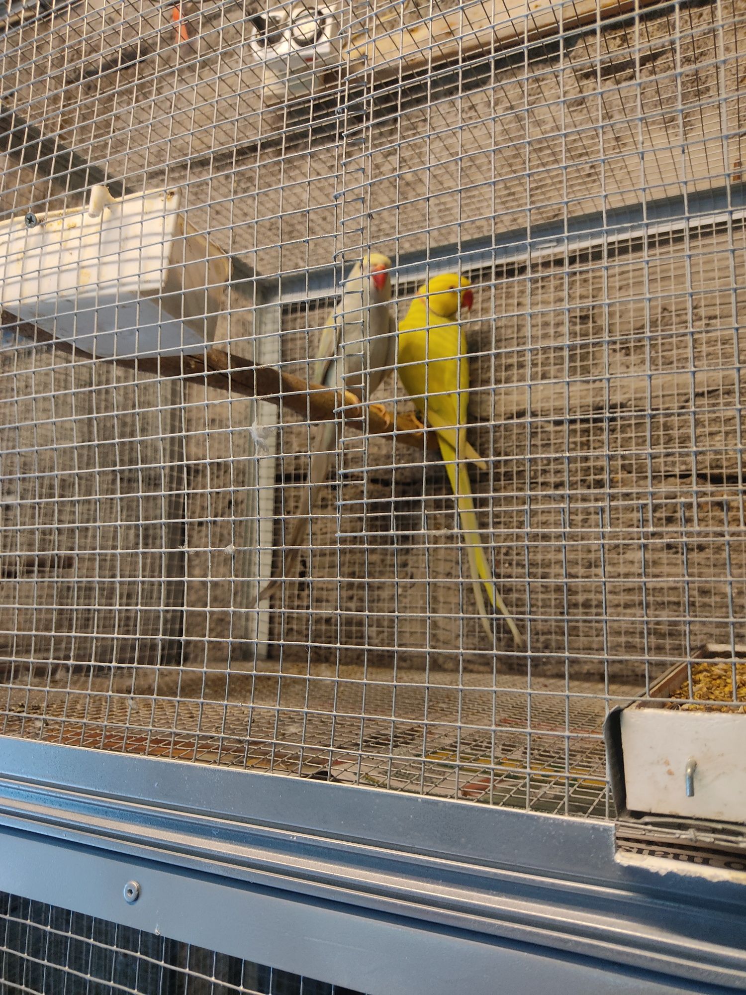 Gaiola, viveiro ou voadeira para aves