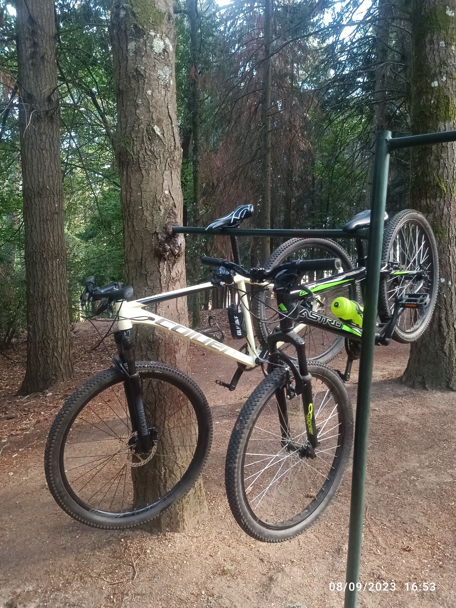 Bicicleta Coluer 29
