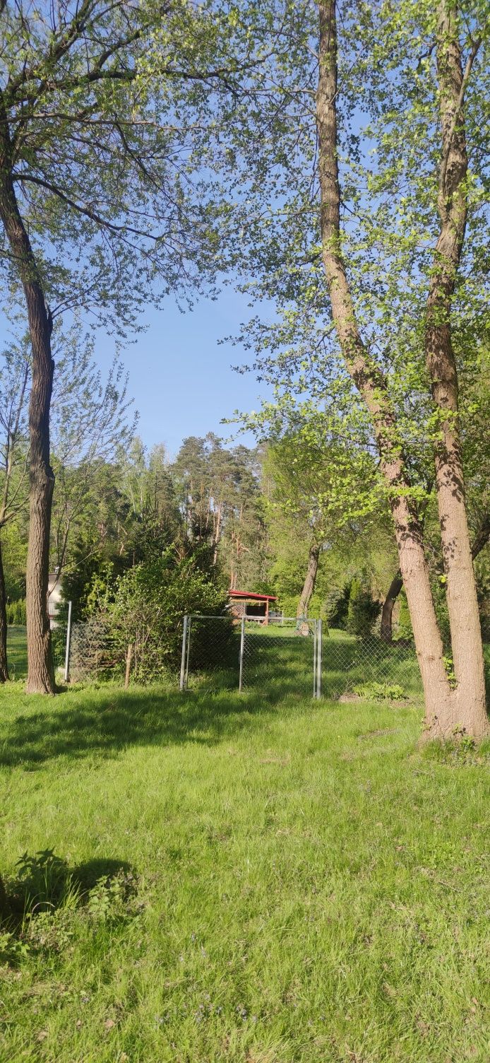 Działka nad jeziorem