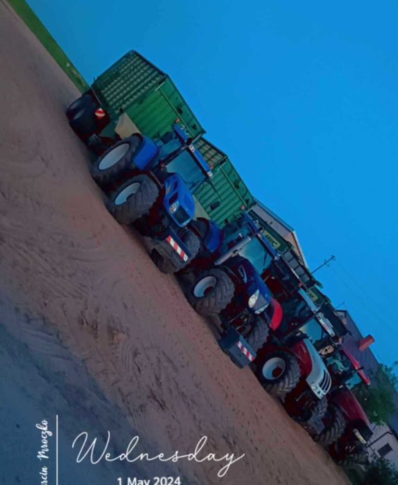 Koszenie kukurydzy transport gniecenie