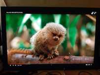 Monitor Eizo S2433W+FILM 24" 1920x1200 P-VA. Asus/HP/Nec/Dell/LG/