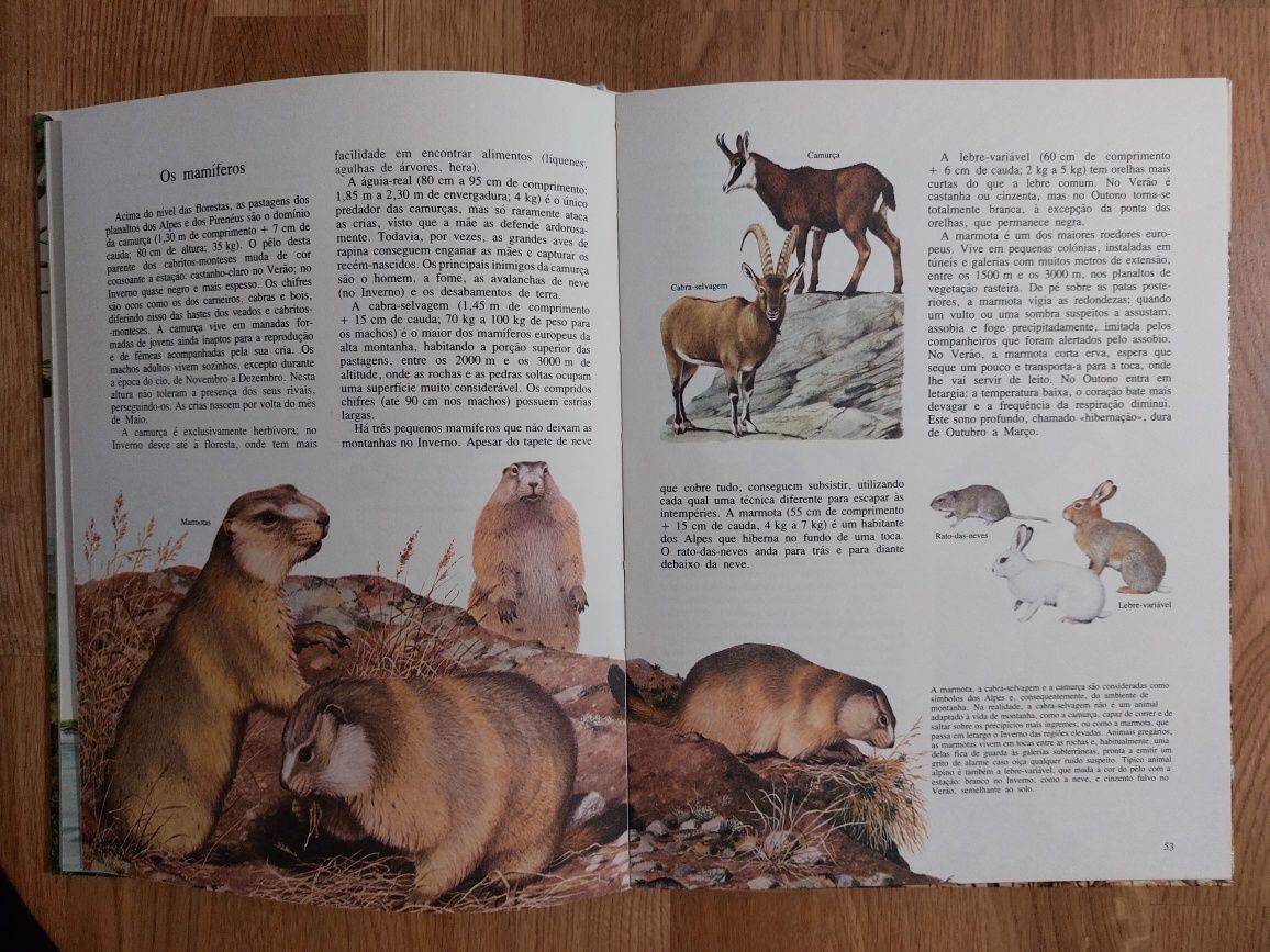 Livro Animais e Plantas de todo o Mundo