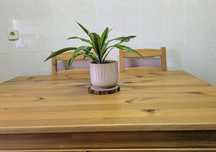 01 Mesa com 04 cadeiras
