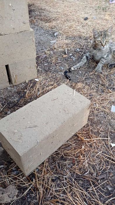 Глиноблок, цегла, саман(пресований)