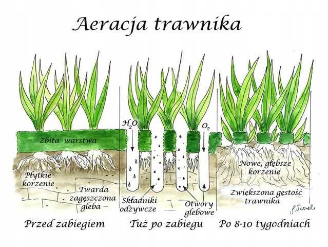 Zakładanie trawnika glebogryzarka separacyjna równanie ziemia koparka