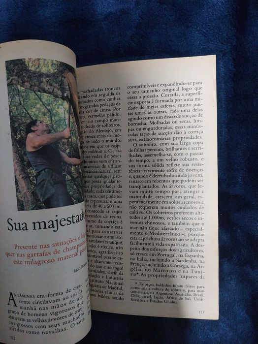 Revista das Selecções do Reader´s Digest Julho de 1982