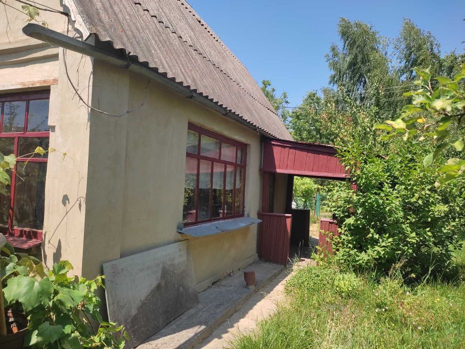 Продам дачу біля лісу,ставка Петрик