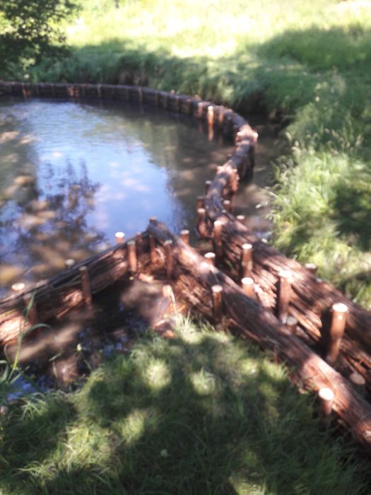 Faszyna, kiszka faszynowa, kołki, pale melioracyjne