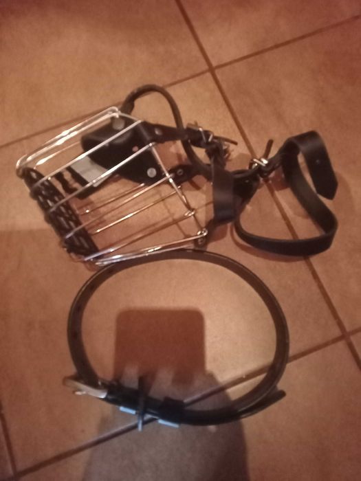 Sprzedam obrożę, szelki, kaganiec dla dużego psa
