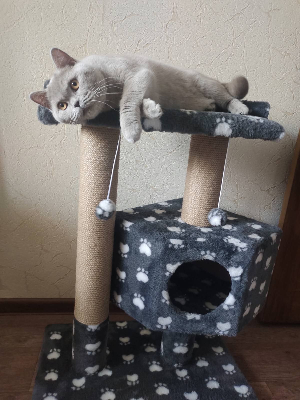 Домик лежанка когтеточка для кота кошки