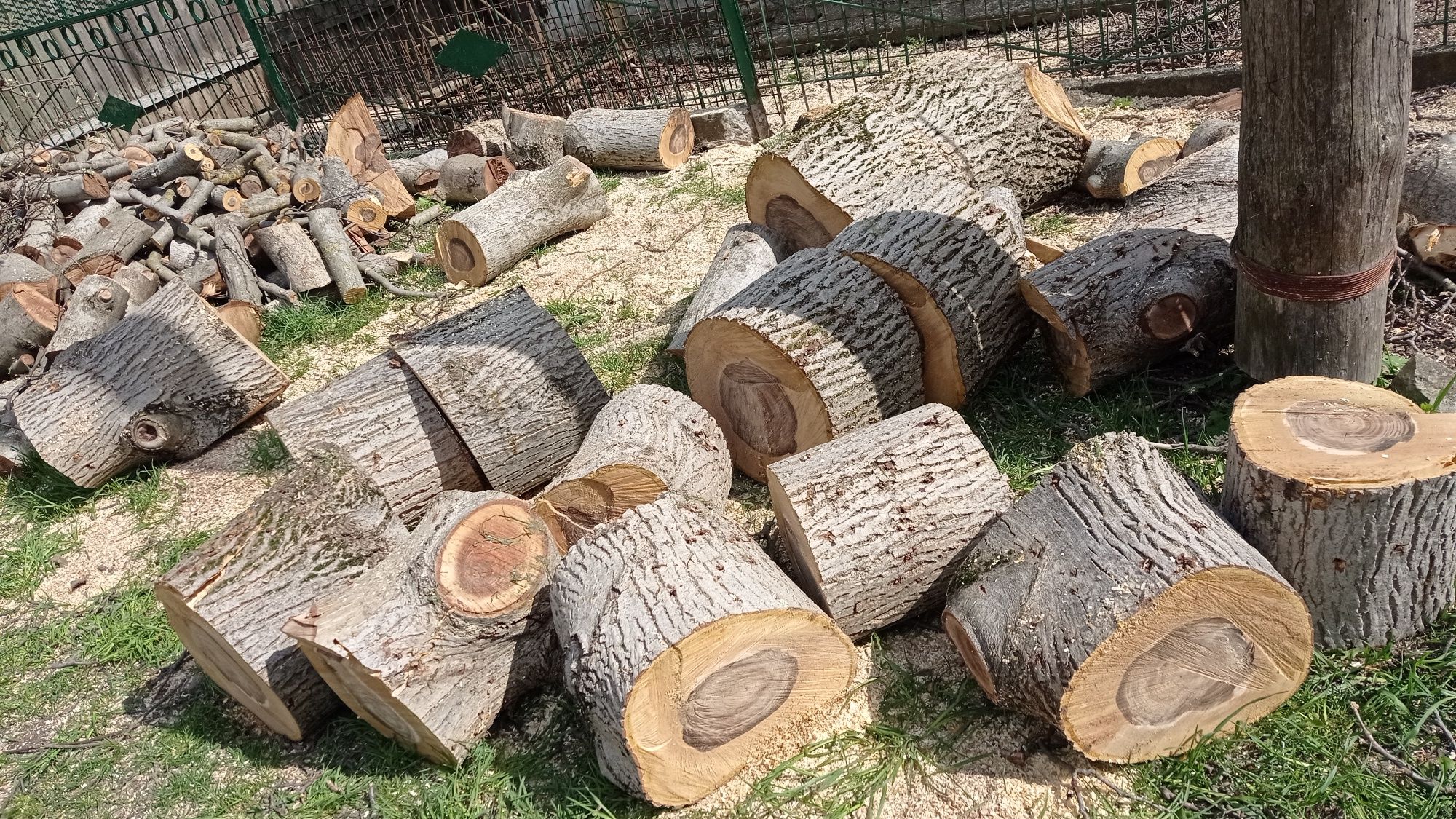 Зрізання складних аварійних дерев Кам'янець Подільський Спил валка