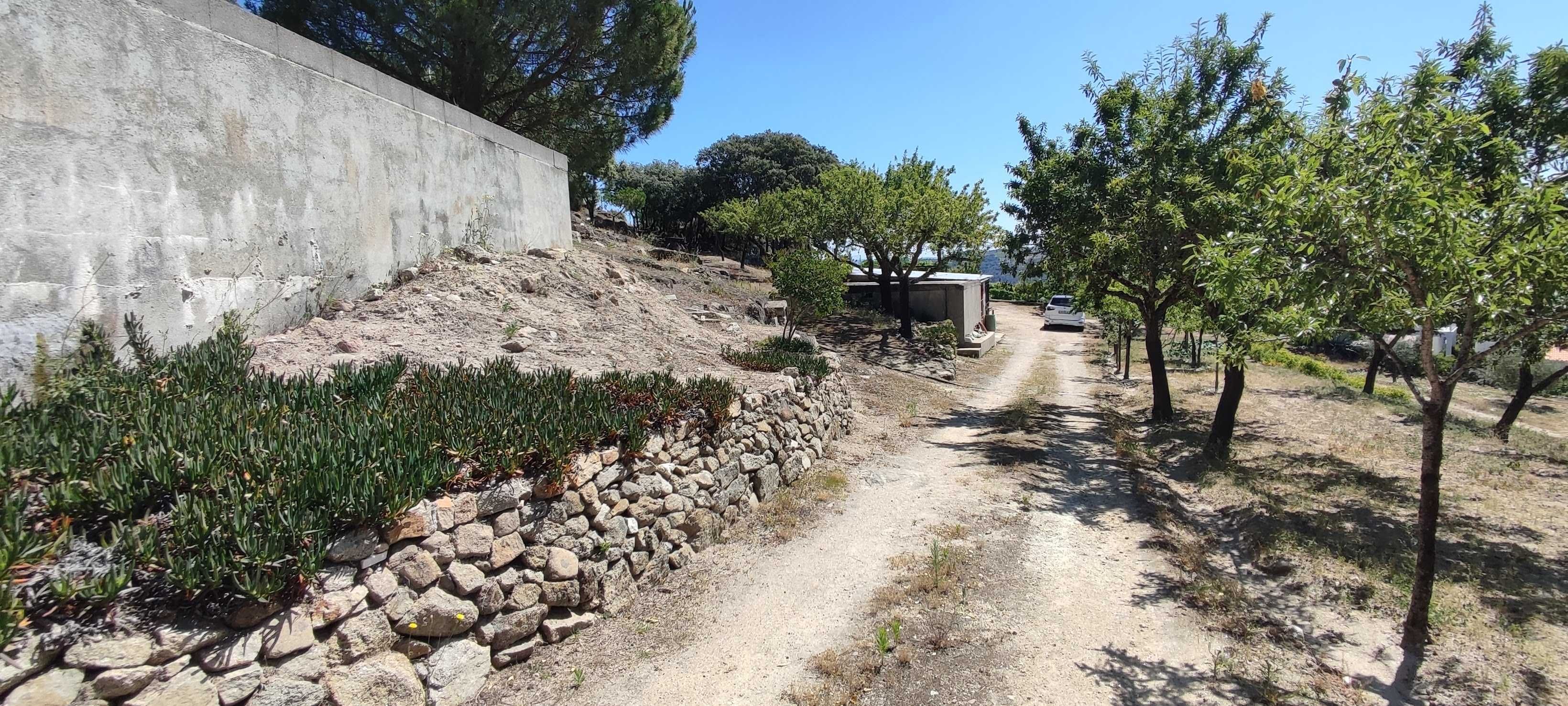 Quintinha no Douro