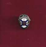 Pin do Belenenses em Prata
