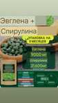 Спирулина на 6 месяцев.Япония