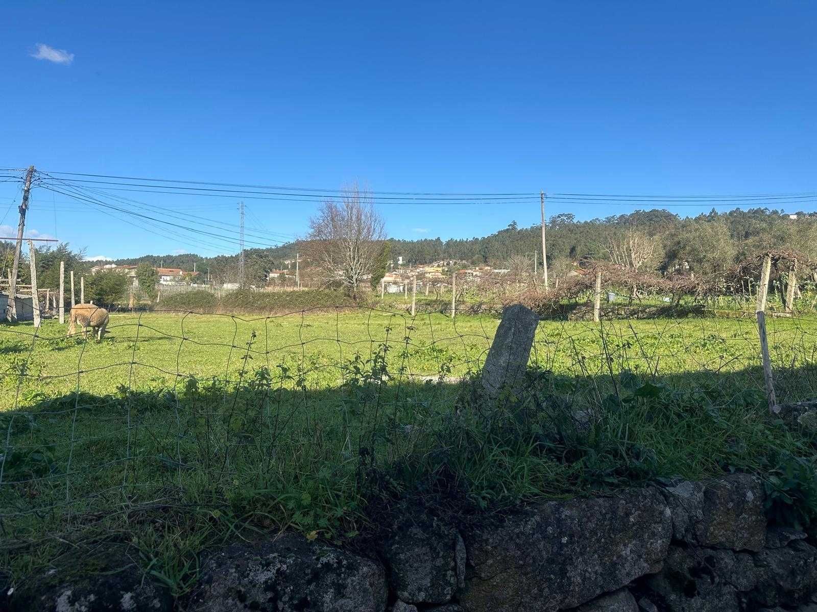 Vende-se Terreno Cabeça Santa - Penafiel
