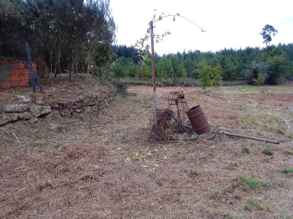 Quinta com casa para reconstrução