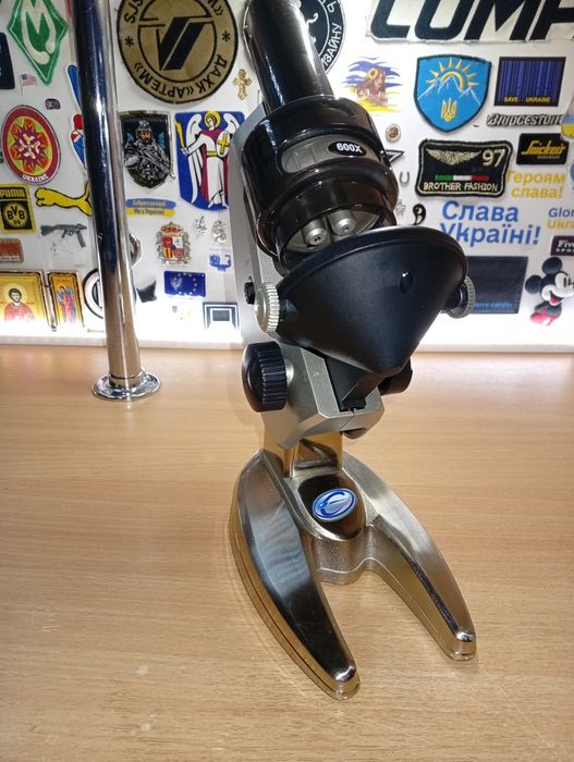 Микроскоп для начинающих