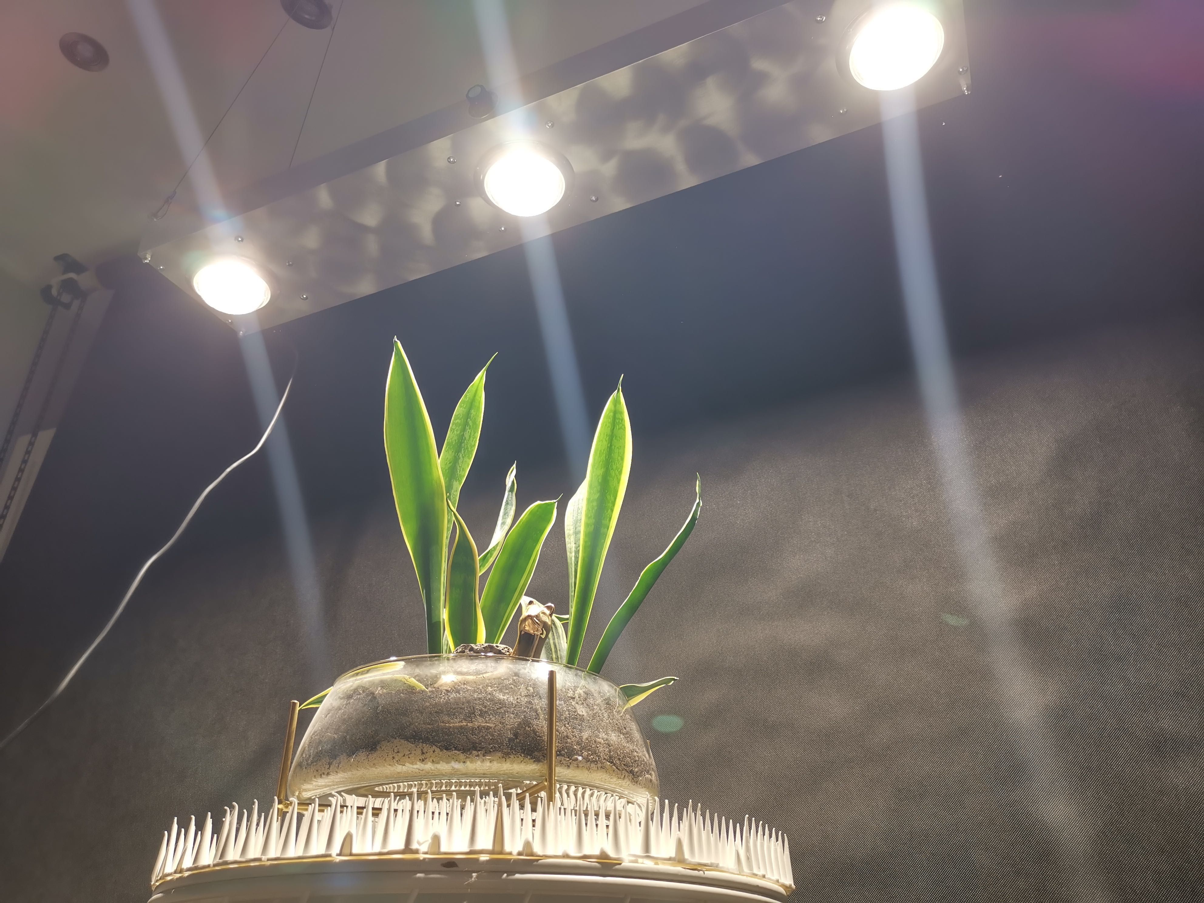 PANEL LED Citizen CLU058 200x100cm 500W - odpowiednik HPS 1000