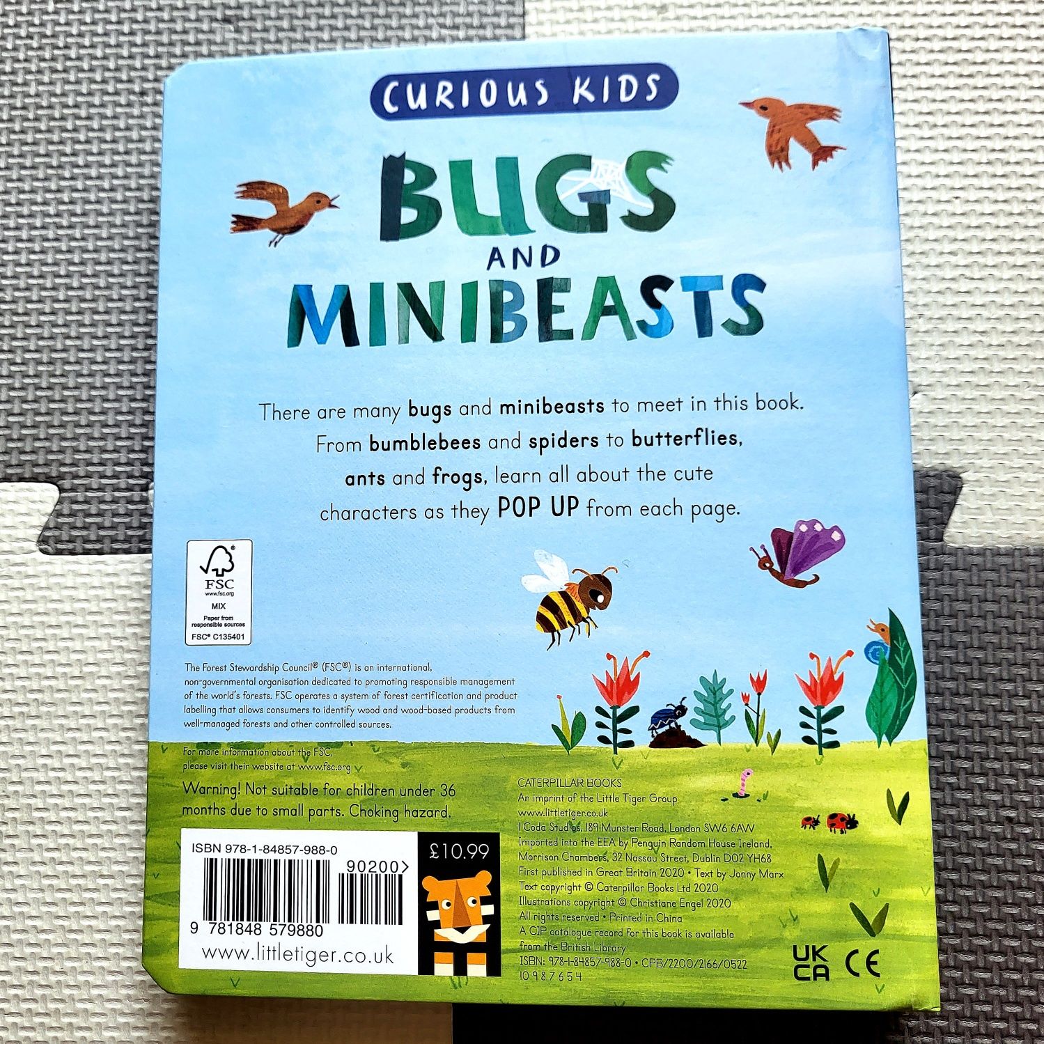 Bugs and Minibeasts Curious Kids pop-up po angielsku owady