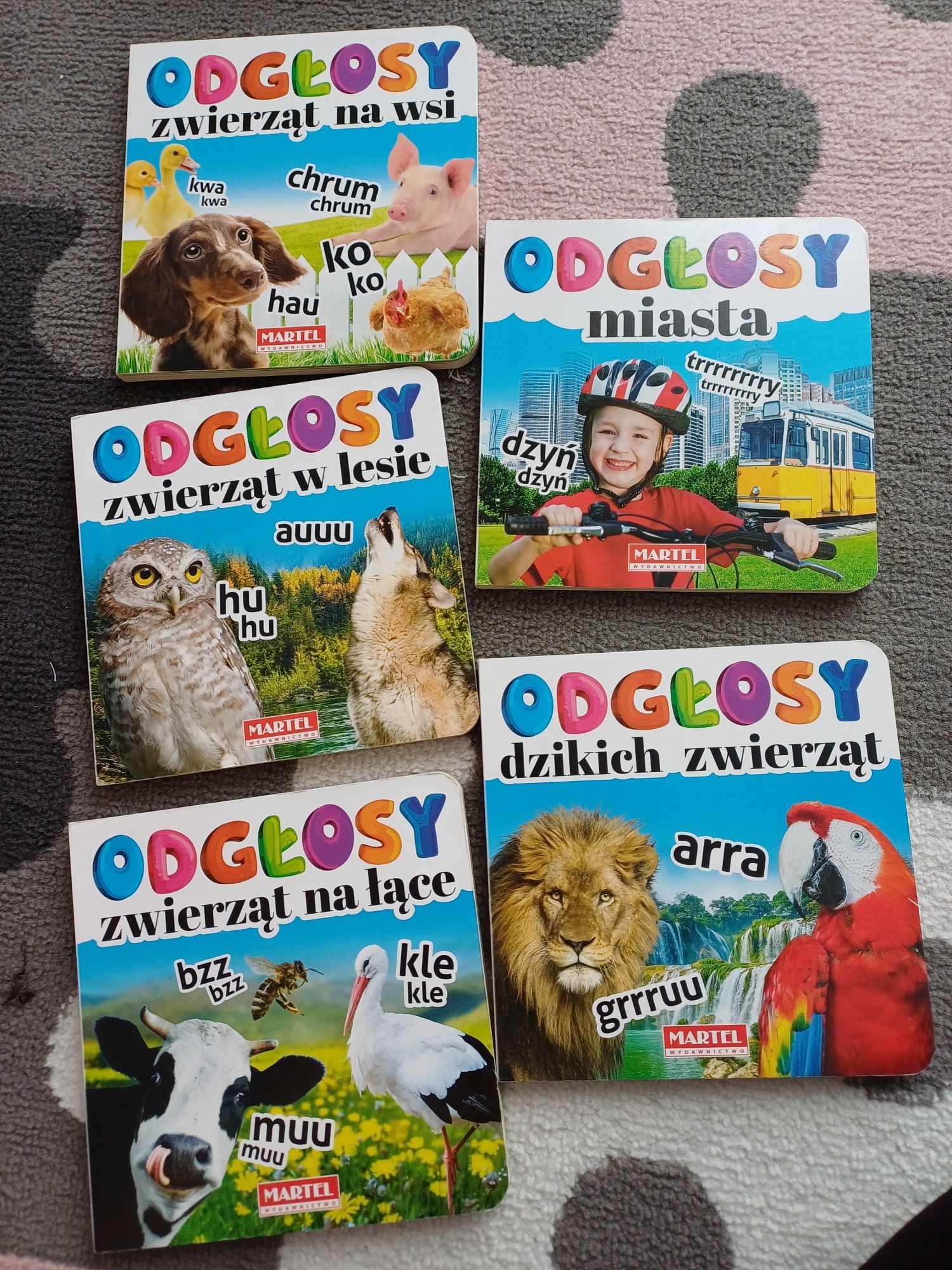 Zestaw książek dla malucha