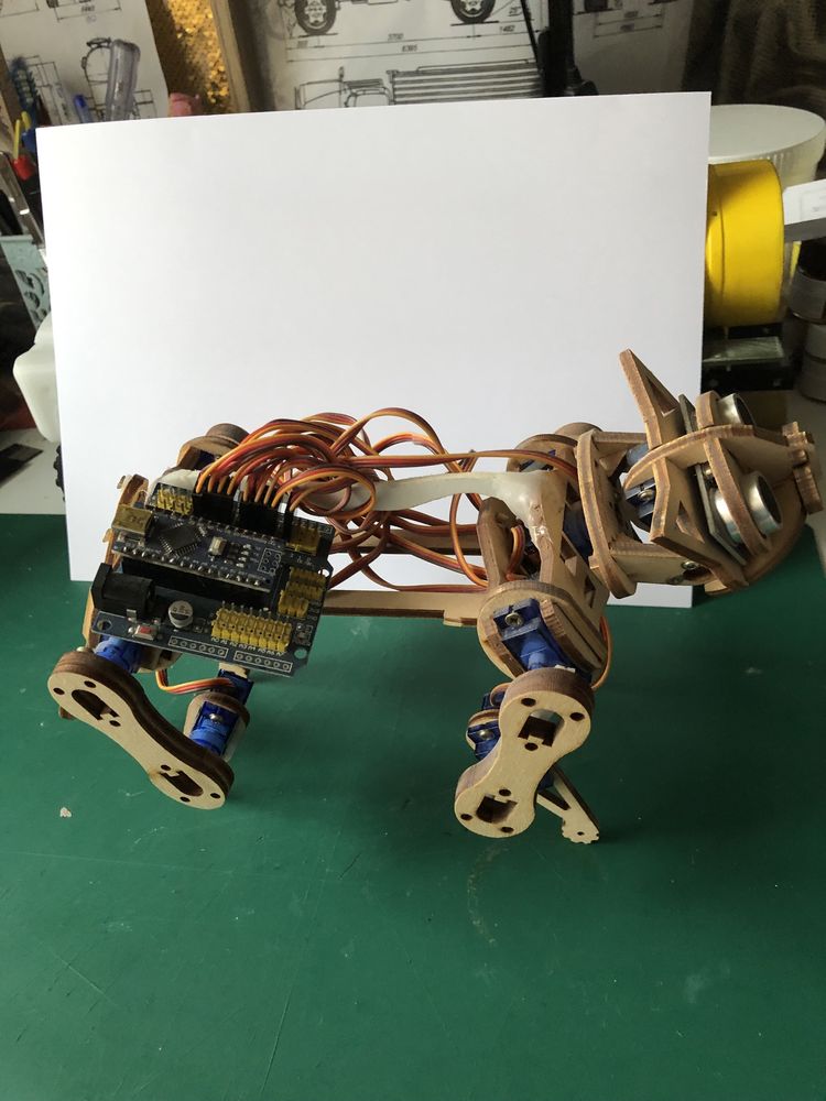 Robot Arduino Cat