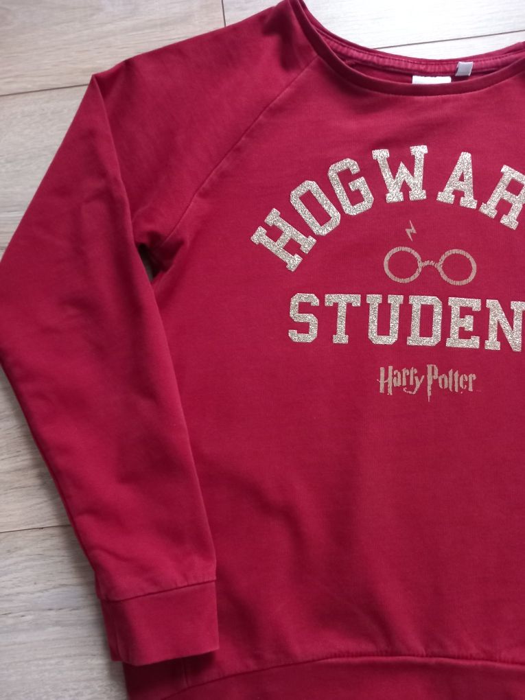 Bluza Harry Potter Hogwarts Student 146