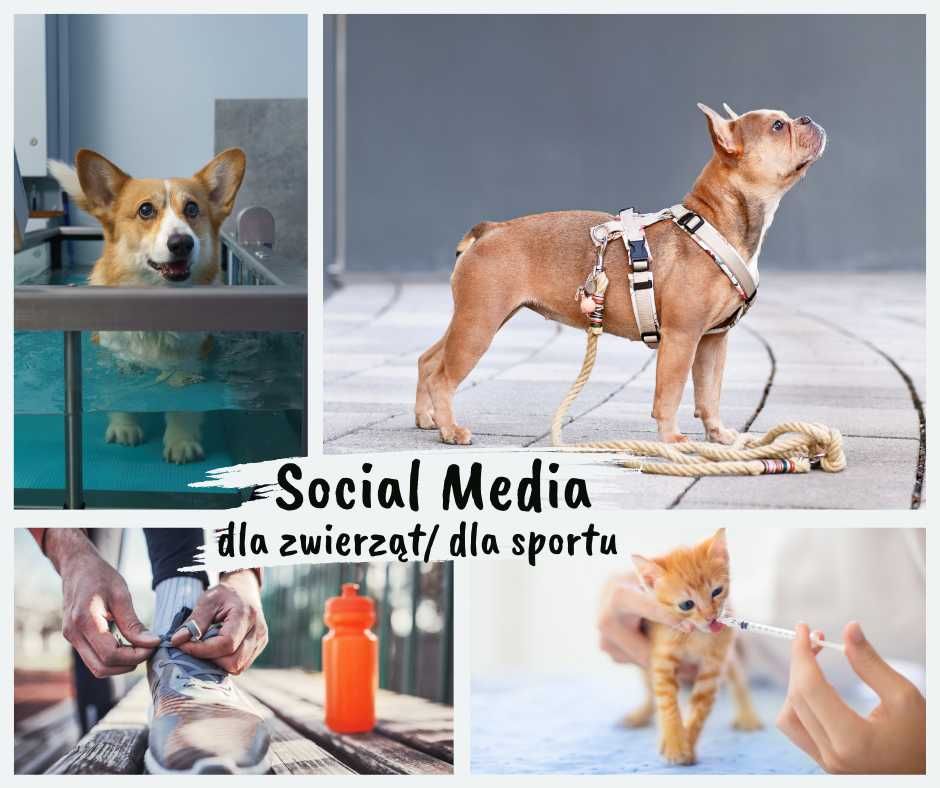 Prowadzenie Social Media