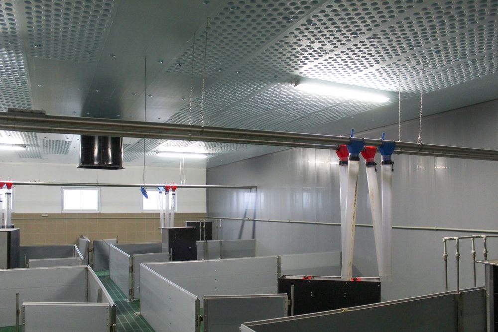 Sufit Wentylacyjny Perforowany Panele Izolacyjne Styrodur XPS AGRO 40