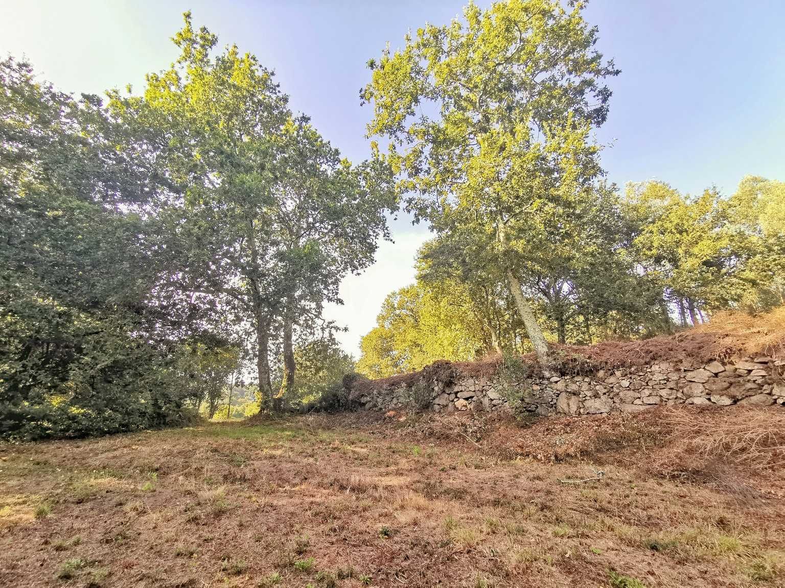 Quinta 21000m2 para moradia Monte Côrdova