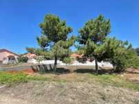 Terreno Para Construção - Amora