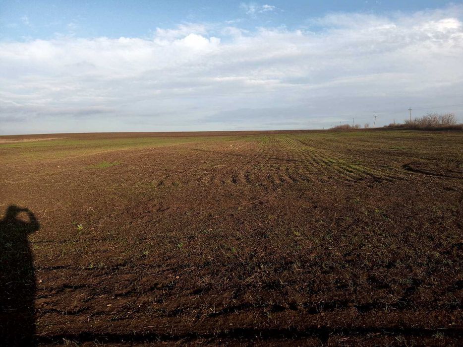 Участок в селе площадью 1,75 га