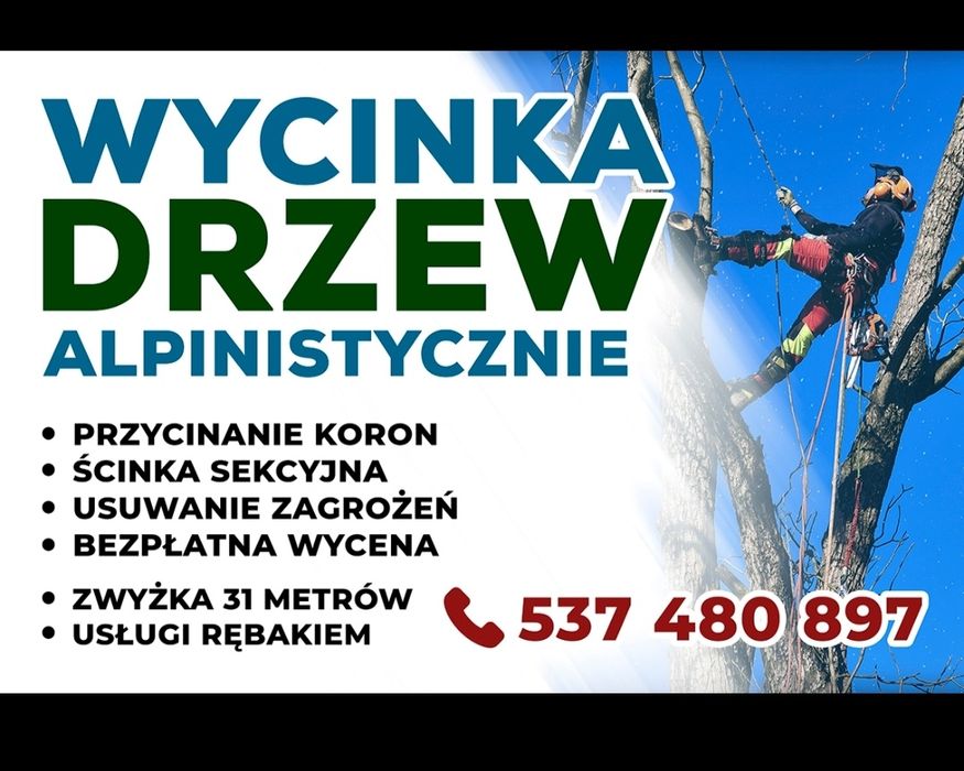 Usługi rębakiem spalinowym Wycinka Drzew