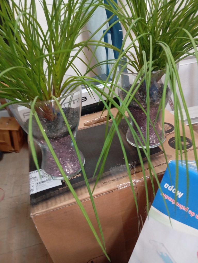 Várias jarras. Vendo em separado.