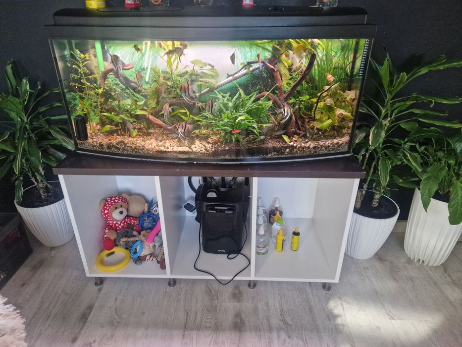 Akwarium Panoramiczne 240L 120x40x50 + Szafka + Filtr + Akcesoria