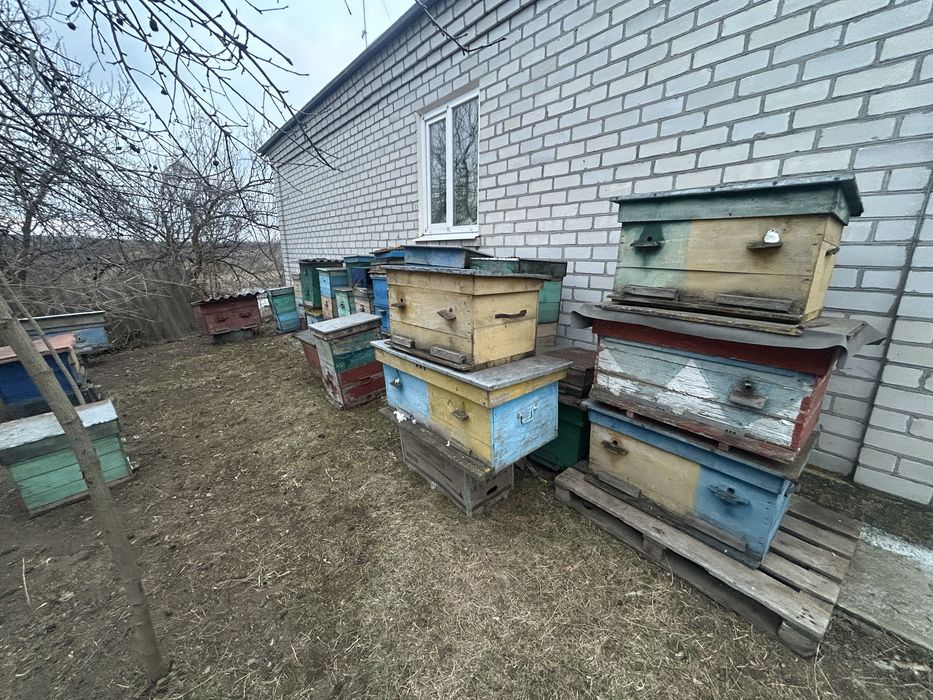 Продам вулики лежаки і корпусні рамки суш та медові
