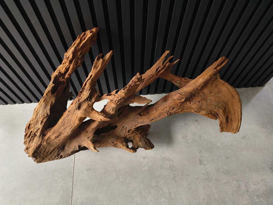 Korzeń MANGROWCA XXL 1004 akwarium terrarium 100x55x28 Unikat Duży