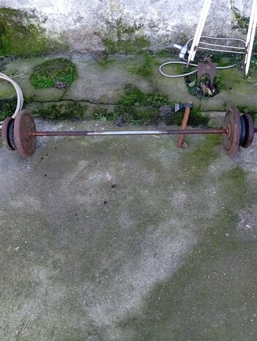 Barras e pesos musculação