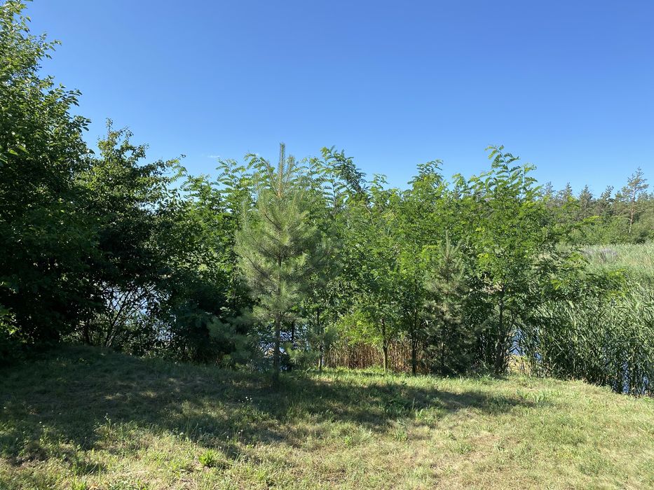 Продажа будинку в с. Орлівщина