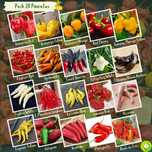 Pack/kit 20 variedades de pimentas raras (sementes)